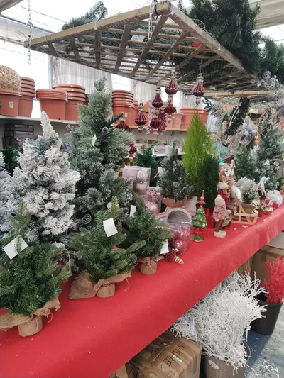Banco natalizio con piccoli alberi di Natale, decorazioni e miniature esposti nel garden center Green Service Oulx